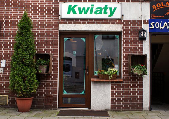 Wejście do Kwiaciarni Lira z zielonym szyldem Kwiaty, ul. Świętokrzyska 6 w Lesznie